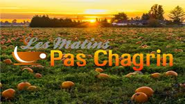 LES MATINS PAS CHAGRIN